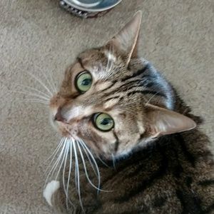 Meet your Posher, Jenny